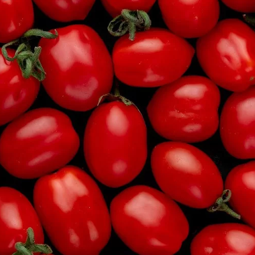 گوجه فرنگی (بسته 1 کیلو گرمی)