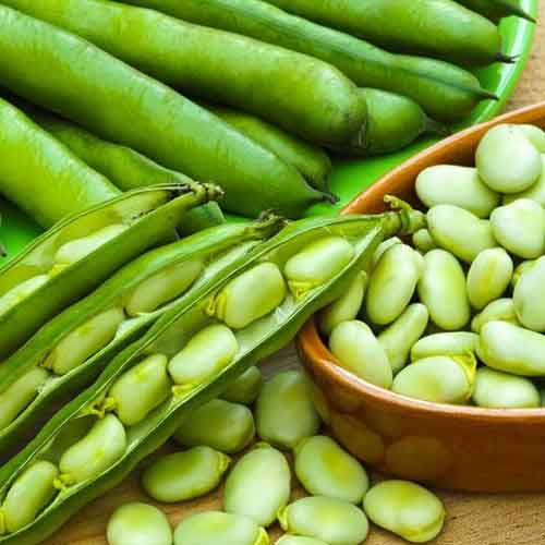 باقلا بهبهان