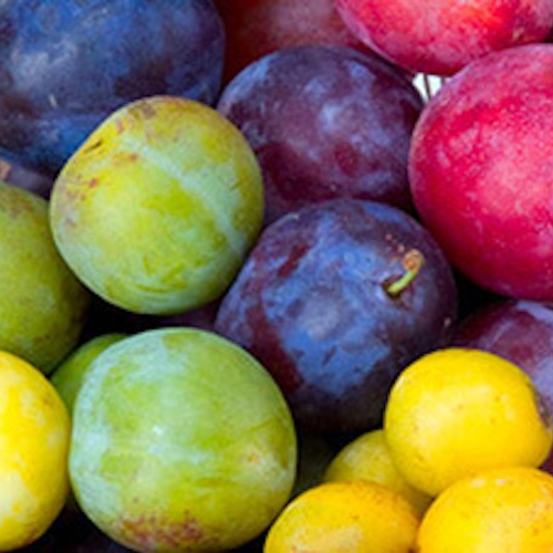 هسته‌دار و دانه دار