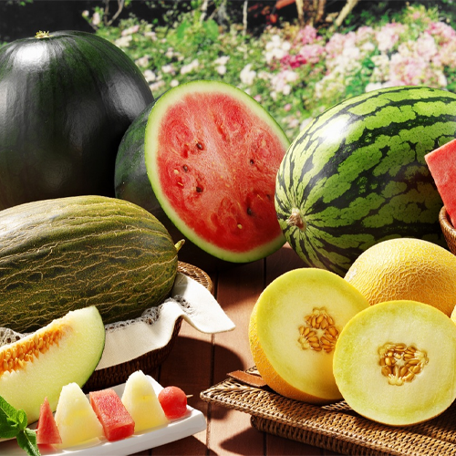 بهار و تابستان