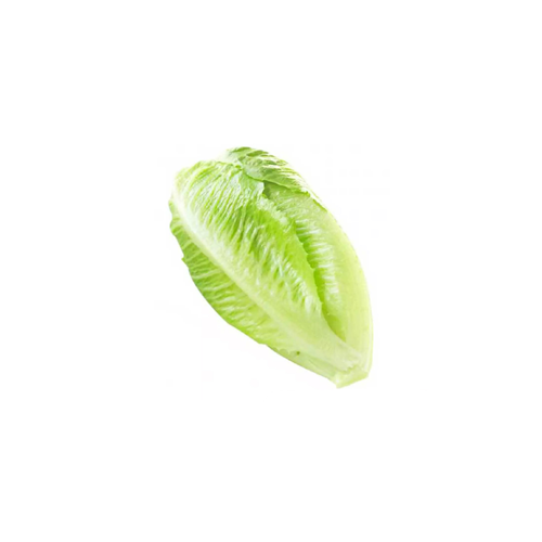 کاهو اصفهانی